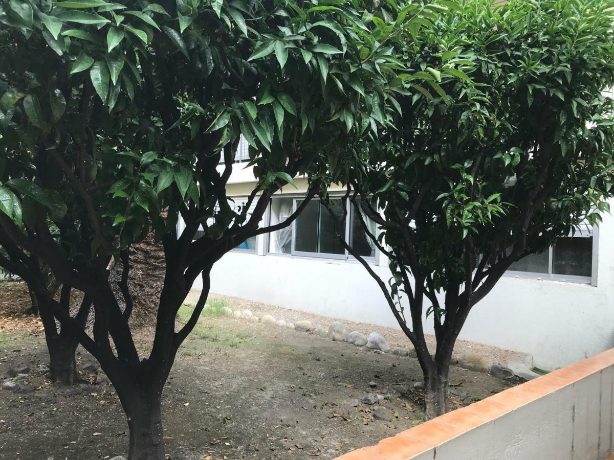 Apartamento Les clémentines Niza Exterior foto
